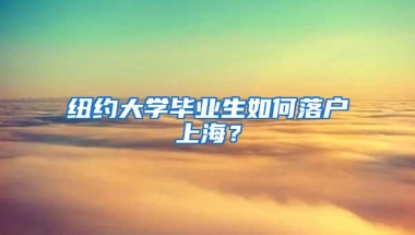 纽约大学毕业生如何落户上海？