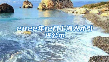 2022年12月上海人才引进公示