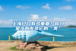 上海户口有多重要？你只是没有发现它的“美”