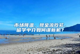 市场降温，现金流吃紧，留学中介如何谋新机？