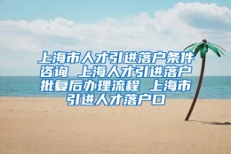 上海市人才引进落户条件咨询 上海人才引进落户批复后办理流程 上海市引进人才落户口