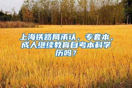 上海铁路局承认，专套本，成人继续教育自考本科学历吗？