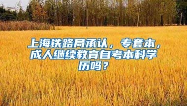 上海铁路局承认，专套本，成人继续教育自考本科学历吗？