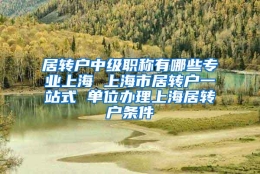 居转户中级职称有哪些专业上海 上海市居转户一站式 单位办理上海居转户条件