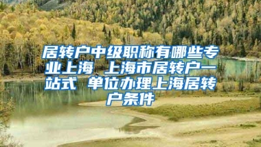 居转户中级职称有哪些专业上海 上海市居转户一站式 单位办理上海居转户条件