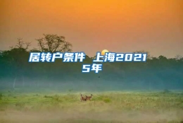 居转户条件 上海2021 5年