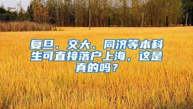 复旦、交大、同济等本科生可直接落户上海，这是真的吗？