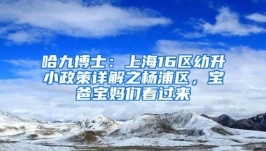 哈九博士：上海16区幼升小政策详解之杨浦区，宝爸宝妈们看过来