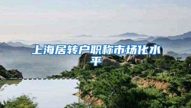 上海居转户职称市场化水平