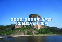 2022-2023年山东青岛出台积分落户细则