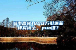 湖南高校1800万引进菲律宾博士，pua谁？