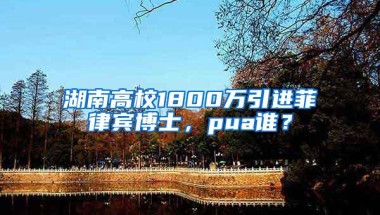 湖南高校1800万引进菲律宾博士，pua谁？