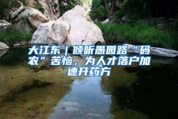 大江东｜倾听愚园路“码农”苦恼，为人才落户加速开药方