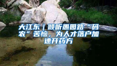 大江东｜倾听愚园路“码农”苦恼，为人才落户加速开药方