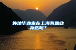 外地毕业生在上海有就业补贴吗？