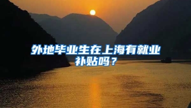 外地毕业生在上海有就业补贴吗？