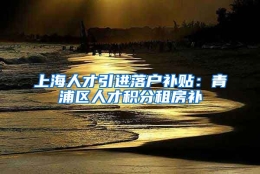 上海人才引进落户补贴：青浦区人才积分租房补