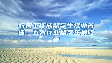 归国工作成留学生择业首选，五大行业留学生最吃香