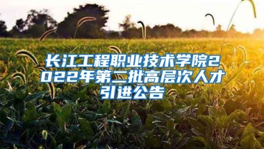 长江工程职业技术学院2022年第二批高层次人才引进公告