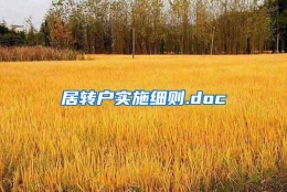 居转户实施细则.doc