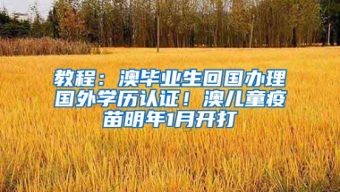 教程：澳毕业生回国办理国外学历认证！澳儿童疫苗明年1月开打