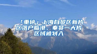 「重磅」上海自贸区新片区落户临港，奉贤一大片区域被划入