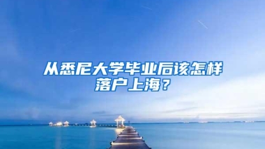 从悉尼大学毕业后该怎样落户上海？