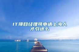 IT项目经理可申请上海人才引进么