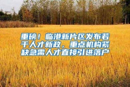 重磅！临港新片区发布若干人才新政，重点机构紧缺急需人才直接引进落户