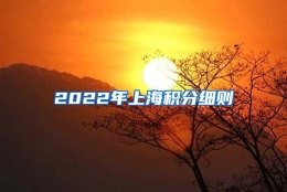 2022年上海积分细则