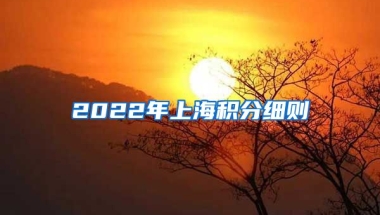 2022年上海积分细则