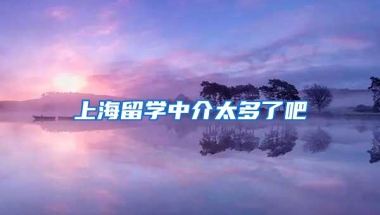 上海留学中介太多了吧