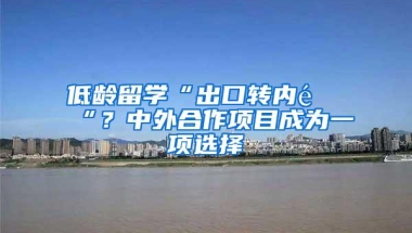 低龄留学“出口转内销“？中外合作项目成为一项选择