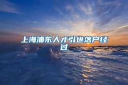 上海浦东人才引进落户经过