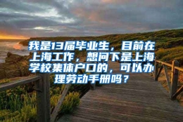 我是13届毕业生，目前在上海工作，想问下是上海学校集体户口的，可以办理劳动手册吗？