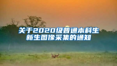 关于2020级普通本科生新生图像采集的通知