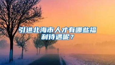 引进北海市人才有哪些福利待遇呢？