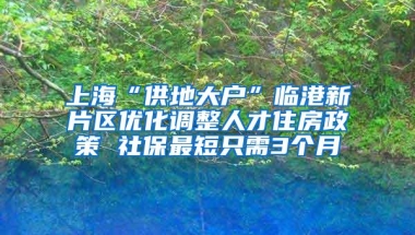 上海“供地大户”临港新片区优化调整人才住房政策 社保最短只需3个月