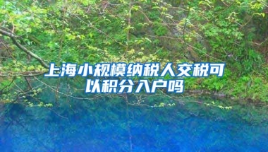 上海小规模纳税人交税可以积分入户吗