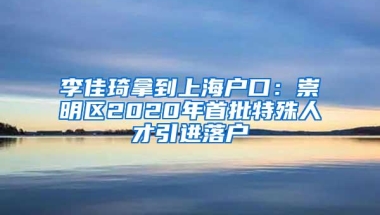 李佳琦拿到上海户口：崇明区2020年首批特殊人才引进落户