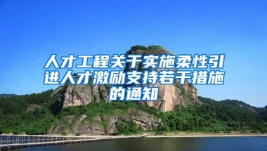 人才工程关于实施柔性引进人才激励支持若干措施的通知