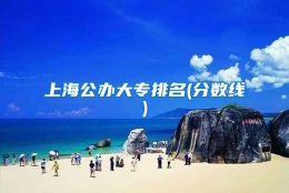 上海公办大专排名(分数线)