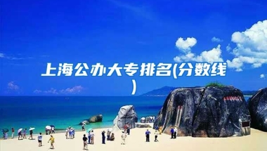 上海公办大专排名(分数线)