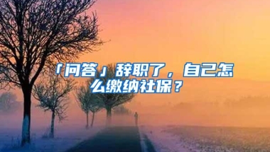 「问答」辞职了，自己怎么缴纳社保？