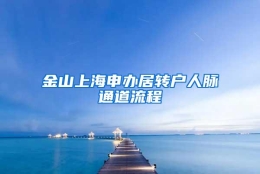 金山上海申办居转户人脉通道流程