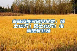 青岛就业可领安家费：博士15万！硕士10万！本科生有补贴