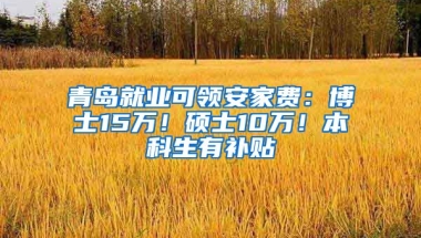 青岛就业可领安家费：博士15万！硕士10万！本科生有补贴