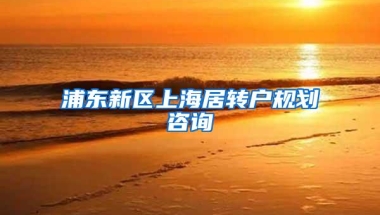 浦东新区上海居转户规划咨询