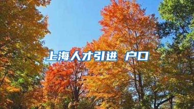 上海人才引进 户口