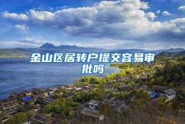 金山区居转户提交容易审批吗